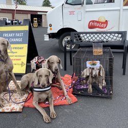 Freaky Fast Oil Change - Camping out at Freaky Fast, from L to R, Sean, Meadow, Jade & McKenzee.