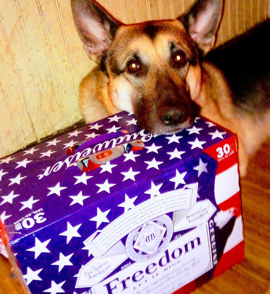 DAVIS DISCOUNT PET STORE Updated August 2024 1509 E Main St