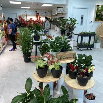 Mari’s Urban Garden - Intwrior - Nurseries & Gardening Near Me - Honolulu, Hawaii