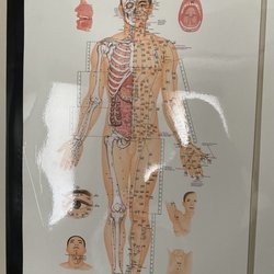 Acupuncture Wellness Center