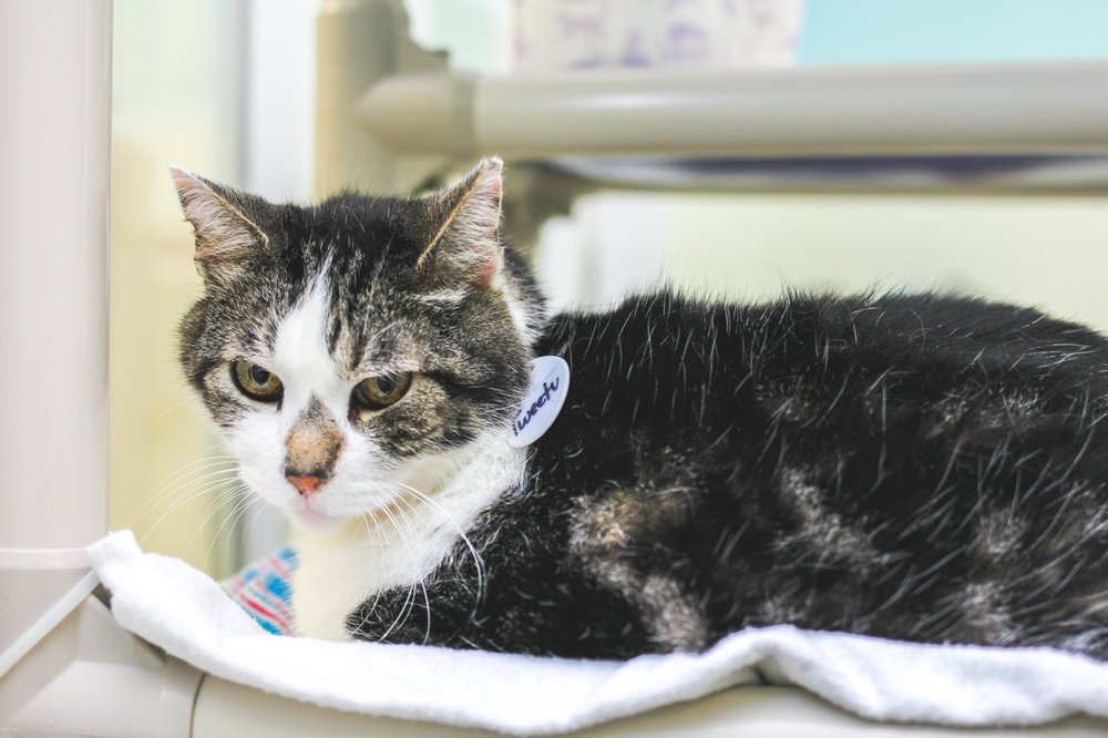 301 Moved Permanently