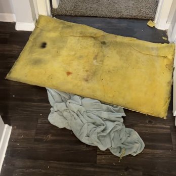 The Heights at 515 - Ceiling falling down from leak and visible mold - Apartments Near Me - San Antonio, Texas