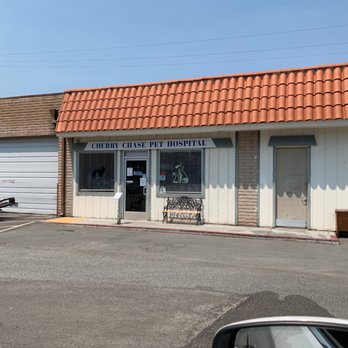 Cherry Chase Pet Hospital - Checking in - Veterinarians Near Me - Sunnyvale, California