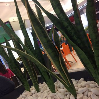 Dolce Vita Monumental - Shopping Centers Near Me - Lisbon, 11