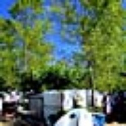 Camping Secrets De Camargue