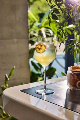 Barbuto Brooklyn by null