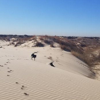 Monahans Sandhills State Park - Hiking Near Me - Monahans, Texas Monahans Sandhills State Park - Hiking Near Me - Monahans, Texas