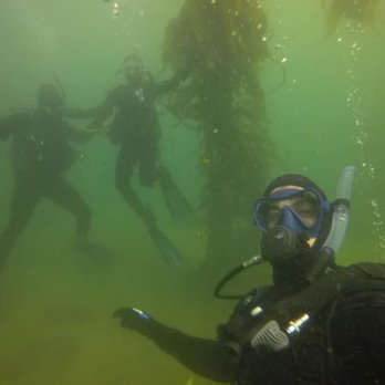Bamboo Reef Scuba Diving Centers - Scuba Diving Near Me - San Francisco, California Bamboo Reef Scuba Diving Centers - Scuba Diving Near Me - San Francisco, California