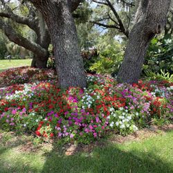 Big League Garden Center