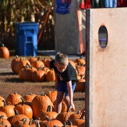 Twin Cities Harvest Festival and Maze