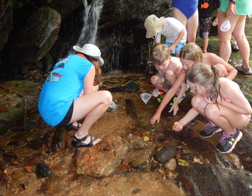 JOCASSEE LAKE TOURS by null