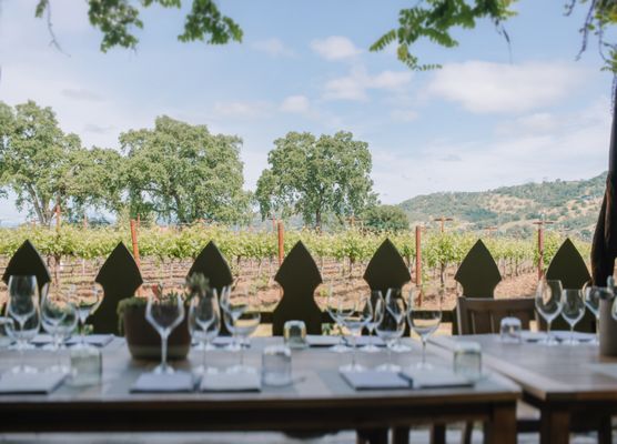 PlumpJack Estate Winery by null