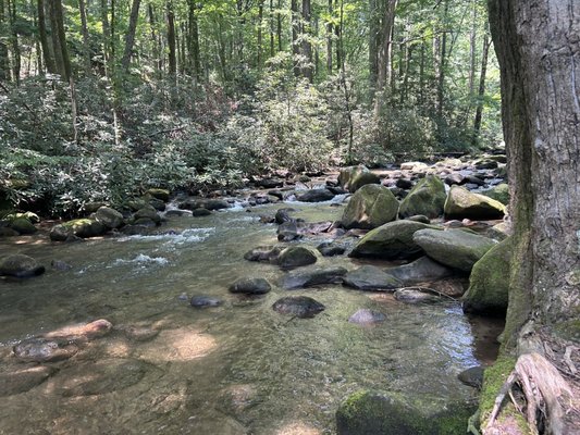 Jones Gap State Park by null