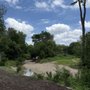 Photo of Kallison Park