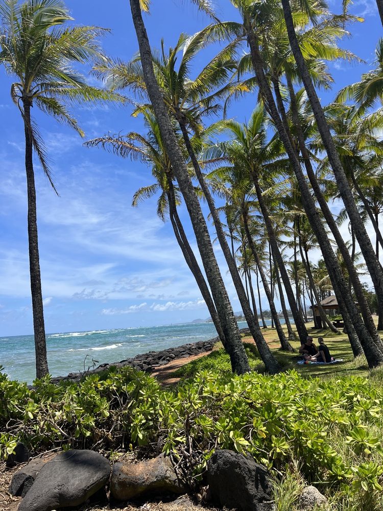 KAPA’A BEACH PARK Updated September 2024 62 Photos & 15 Reviews