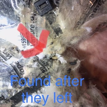 Attic Construction - Rodent droppings I found after they had completed the blow in process of the new insulation - Insulation Installation Near Me Attic Construction - Rodent droppings I found after they had completed the blow in process of the new insulation - Insulation Installation Near Me