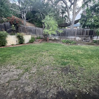 360 Remodeling & Building - Old "grass" - Masonry/Concrete Near Me - Encino, California 360 Remodeling & Building - Old "grass" - Masonry/Concrete Near Me - Encino, California