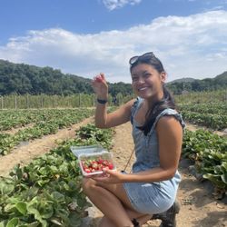 Strawberry picking