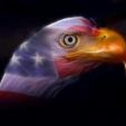 Patriot Taxi of Waltham - All-American Taxi Cab