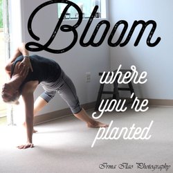 StillPoint Yoga Studio