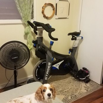 Body Balance - In home bike rental! Dog not included. - Pilates Near Me - Honolulu, Hawaii Body Balance - In home bike rental! Dog not included. - Pilates Near Me - Honolulu, Hawaii