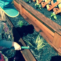 Creative Kids Montessori & Fine Arts Academy
