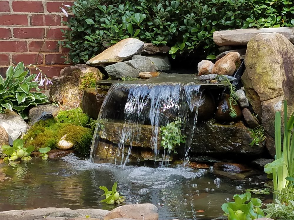 SPRINGER PONDS AND WATER GARDENS Updated October 2024 44 Photos