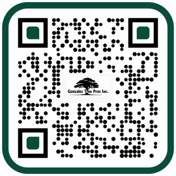 Gonzalez Tree Pros - Tree Services Near Me Gonzalez Tree Pros - Tree Services Near Me