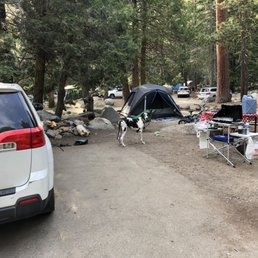 lodgepole campground upper loop