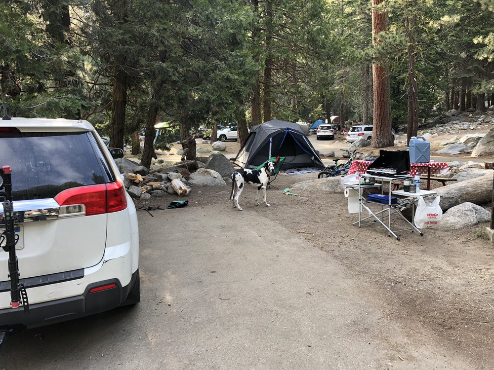 LODGEPOLE CAMPGROUND 136 Photos & 99 Reviews 47050 Generals Hwy