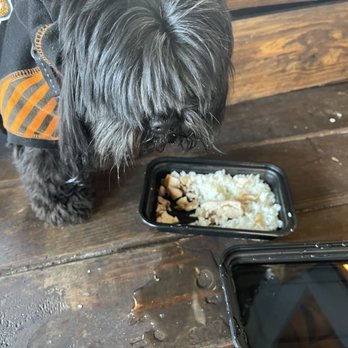 Lost & Found - Doggy chicken and rice - Cocktail Bars Near Me - Houston, Texas