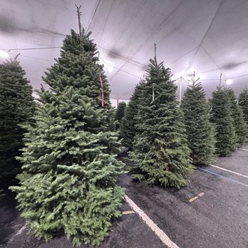 Glendale Tree Lot - Christmas Trees Near Me - Glendale, California