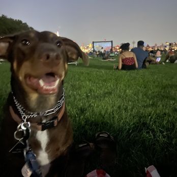 Pier A Park - summer movie nights - Parks Near Me - Hoboken, New Jersey