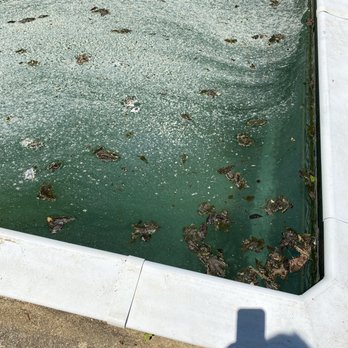American Pools - My pool - Masonry/Concrete Near Me - Kenvil, New Jersey American Pools - My pool - Masonry/Concrete Near Me - Kenvil, New Jersey