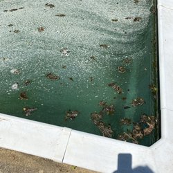 American Pools - My pool