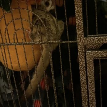 Plowshare Gift Shop - One of the products that you can use for Sugar Gliders and outside in the wild for birds. - Gift Shops Near Me - Waukesha, Wisconsin