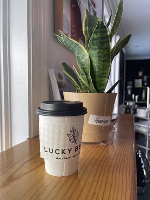 Lucky Bean Coffee House by null