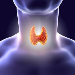 Bluebonnet Diabetes & Endocrinology - Thyroid Doctor