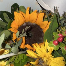 mold on flowers after three days ! mold on flowers after three days !