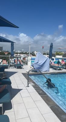 President Hotel South Beach by null