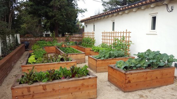 Garden Beds - We specialize in edible foodscape designs, including quality raised garden beds. Schedule a consultation today to get started. Garden Beds - We specialize in edible foodscape designs, including quality raised garden beds. Schedule a consultation today to get started.