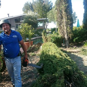 Nortons Tree Care - Tree Services Near Me Nortons Tree Care - Tree Services Near Me