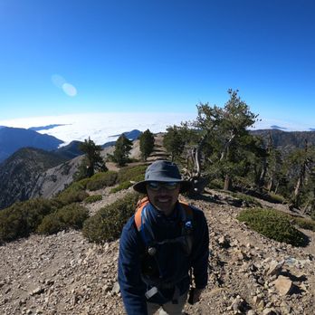 Mount Baden-Powell Trail - Hiking Near Me