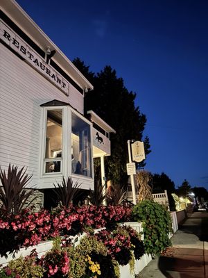 Chives Door County by null