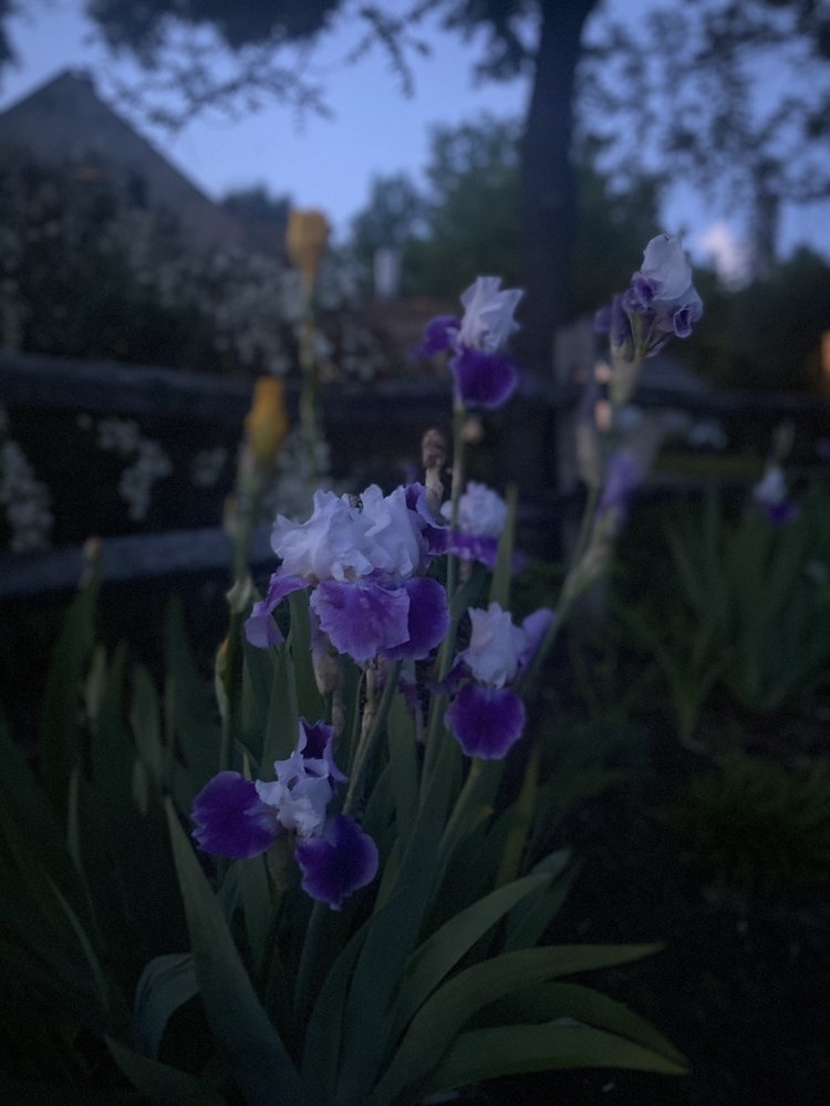 LOCH LYME LODGE Updated August 2024 114 Photos & 12 Reviews 70