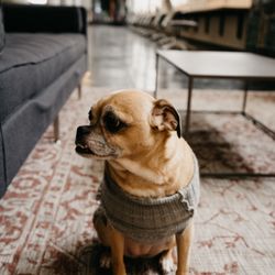 The Wilderness Fitness & Coworking