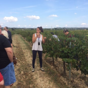 Pares Balta - Wine Tour - Wineries Near Me - Pacs del Penedès, B