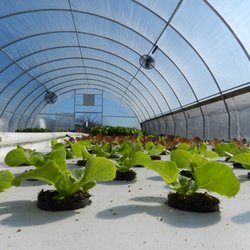 Earth Galley Farms