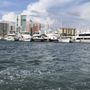 Sarasota Boat Show