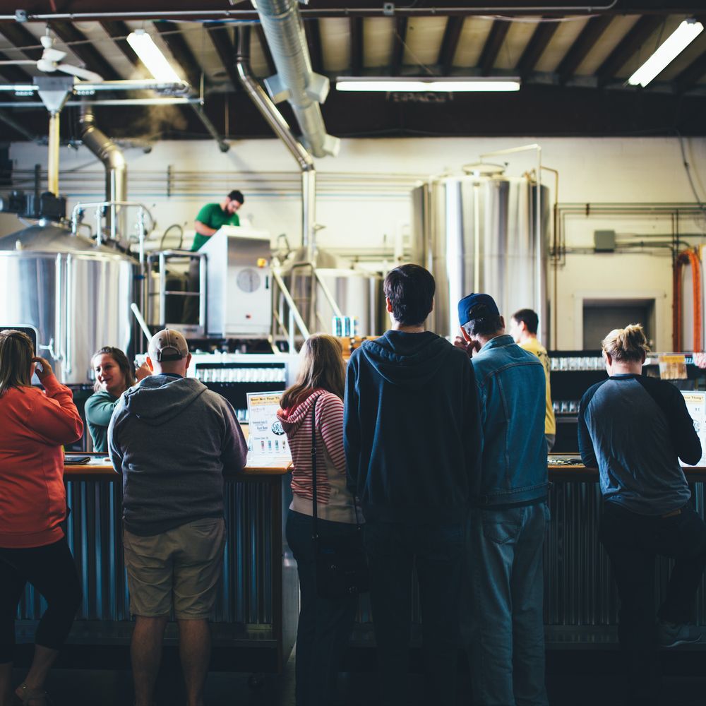 Cape Cod Beer - They're hungry for hops. Give them hops. - Breweries Near Me - Hyannis, Massachusetts